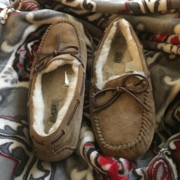 Pretty much brand new ugg slippers, size 8