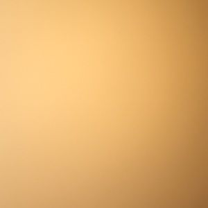 Meet your Posher, Shoug