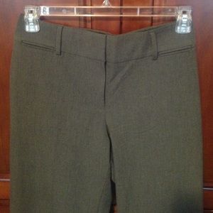 Ann Taylor Loft Julie Trouser