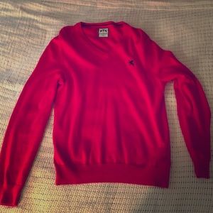 Express V-Neck Sweater