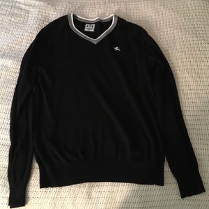 Express V-Neck Sweater