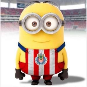 Meet your Posher, Junior