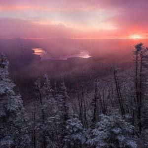 Meet your Posher, Ron