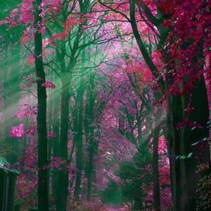 Meet your Posher, Devita