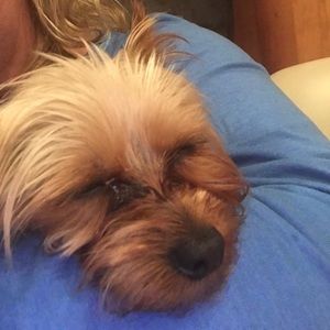 Meet your Posher, Christina