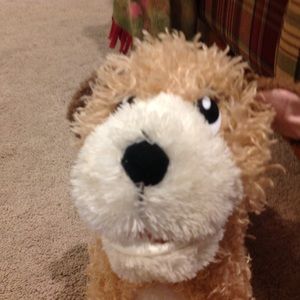 Meet your Posher, Yogita