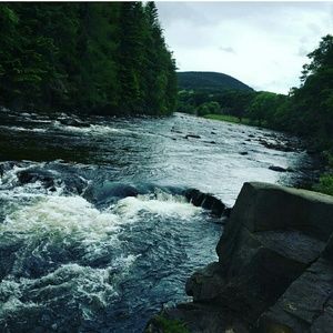 Meet your Posher, Andre