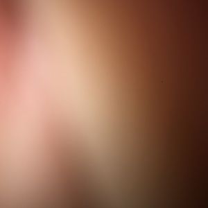 Meet your Posher, Bailey