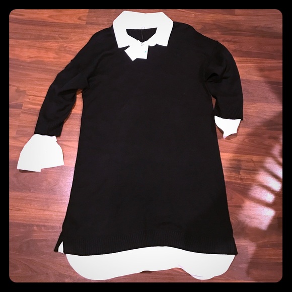 Sweater dress. Calvin Klein