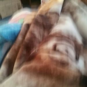 Meet your Posher, Lynne