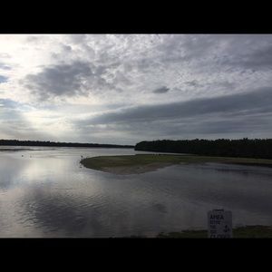 Meet your Posher, Irene