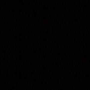 Meet your Posher, Bailey