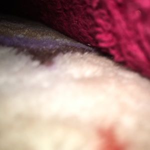 Meet your Posher, Bitty