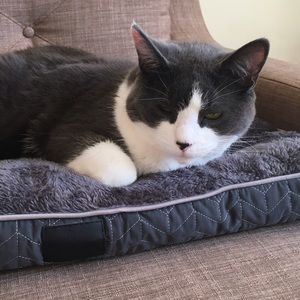 Meet your Posher, Ellen