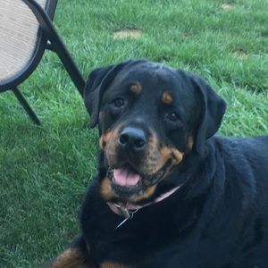 Meet your Posher, Gary