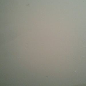 Meet your Posher, Wesley