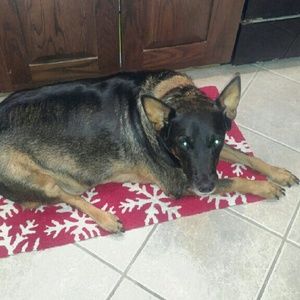 Meet your Posher, Kathie