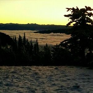 Meet your Posher, Micaela