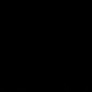 Meet your Posher, Victor