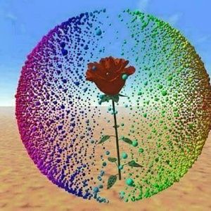 Meet your Posher, Bobbie