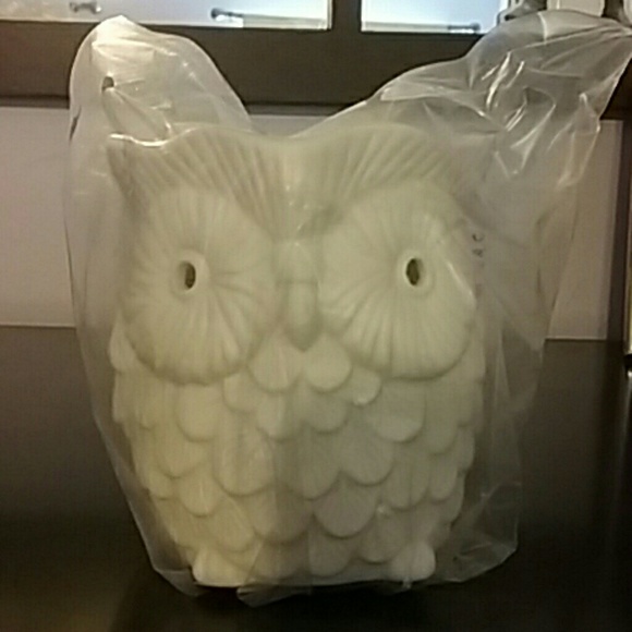 Scentsy whoot warmer.