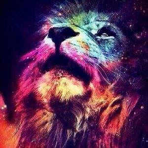 Meet your Posher, Joas