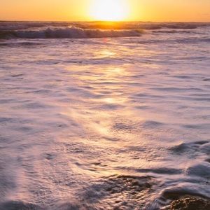 Meet your Posher, Paola