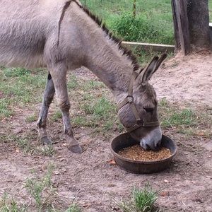 Meet your Posher, Braden