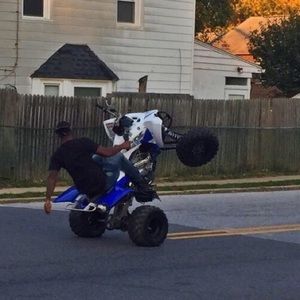 Meet your Posher, Noel