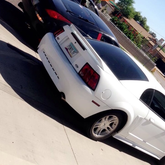 Meet your Posher, George - Picture 1 of 1