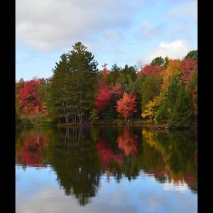 Meet your Posher, Dana