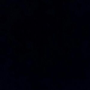 Meet your Posher, Frank