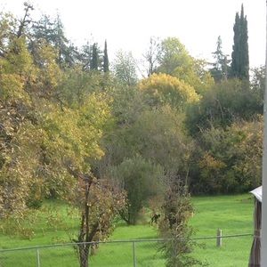 Meet your Posher, Jane