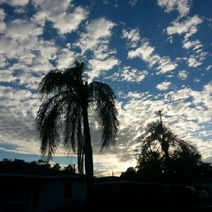 Meet your Posher, Lorena