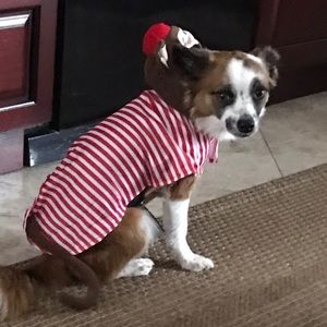 Meet your Posher, Lina