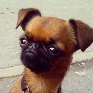 Meet your Posher, Nicholas