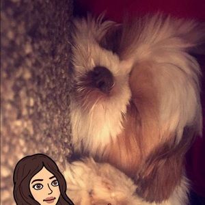 Meet your Posher, Bianca