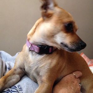 Meet your Posher, Heather