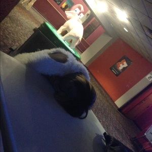 Meet your Posher, Lena