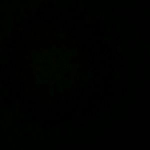 Meet your Posher, Dylan