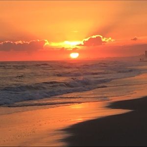 Meet your Posher, Bianca