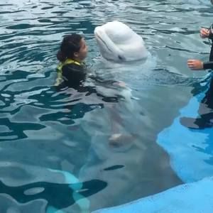 Meet your Posher, Kiala