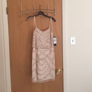 BRAND NEW BLUSH COCKTAIL DRESS