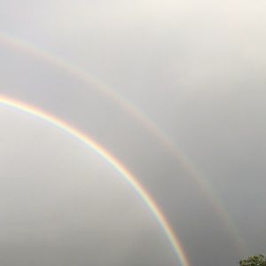 Meet your Posher, Zuriel