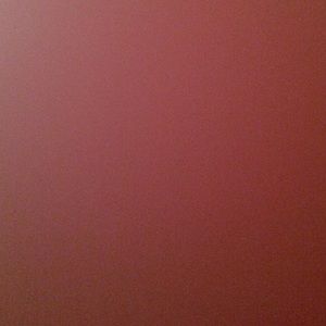 Meet your Posher, Shane