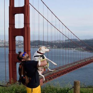 Meet your Posher, Alex