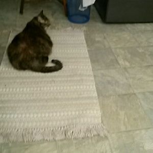 Meet your Posher, Diana