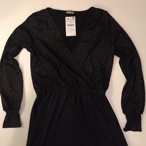 Zara Shimmery Swing Dress