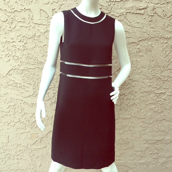 Alexander Wang Fishline Illusion Sheath Dress Sz 2