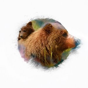 Meet your Posher, Jaice